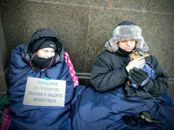 Фото: Сегодня, 15 ноября 2017 года, пошёл 8-ой день бессрочной голодовки, которую объявили зоозащитники Вера Степанова и Юрий Корецкий. Депутат Госдумы Валуев - охотник и 