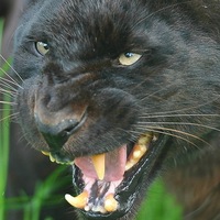 Ольга Щеглова | Красноярск