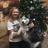 Алёна Вывденко