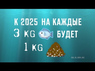 No Plastic