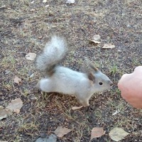 Тёма Ти | Челябинск