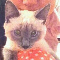 Индира Акбашева