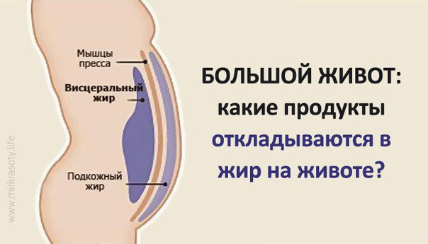 Большой живот: какие продукты провоцируют образование жира вокруг талии 