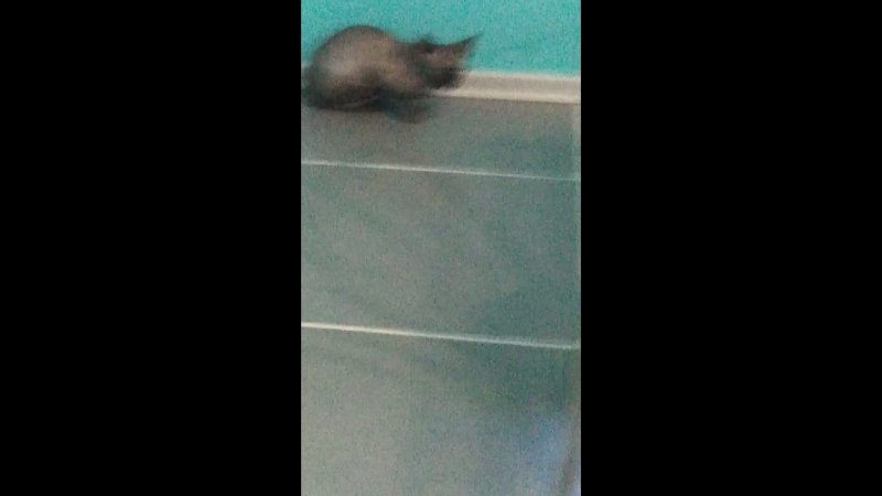 Пшшшшш