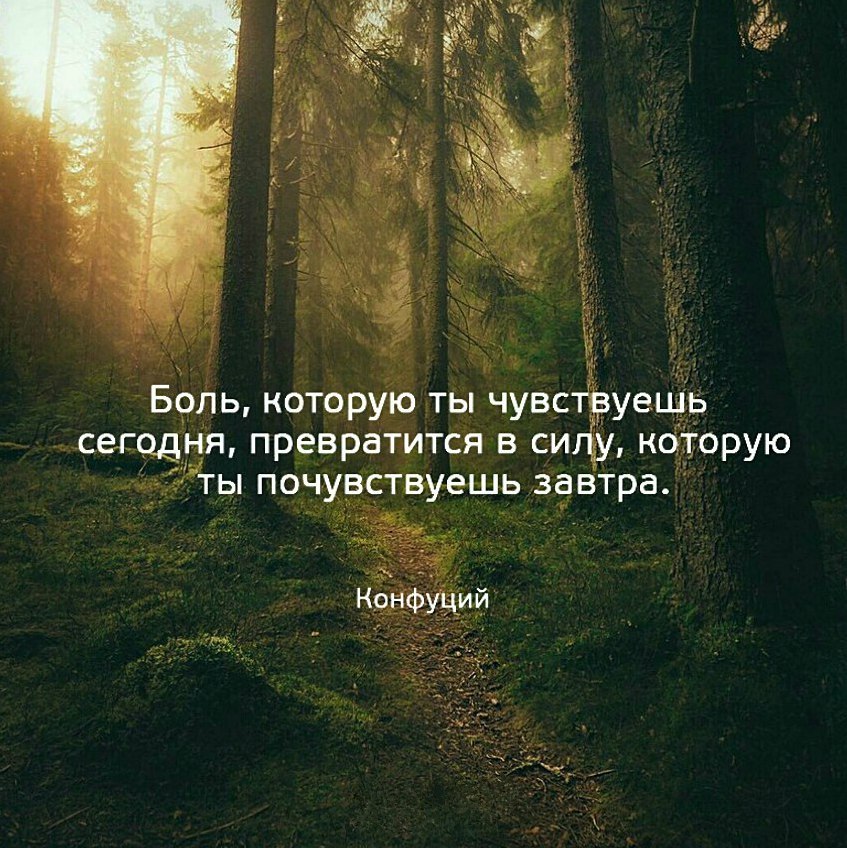 Боль которую ты чувствуешь сегодня превратится в силу которую ты почувствуешь завтра картинка