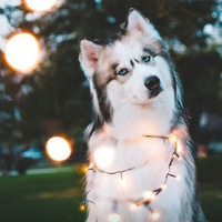 Лена Мартынова | Нижний Новгород