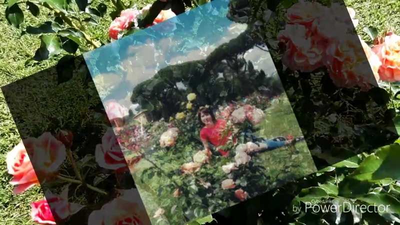 Il_roseto_comunale_Roma_2018_HD.mp4