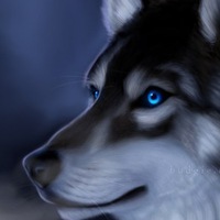 Ксения Омельченко | Чернигов