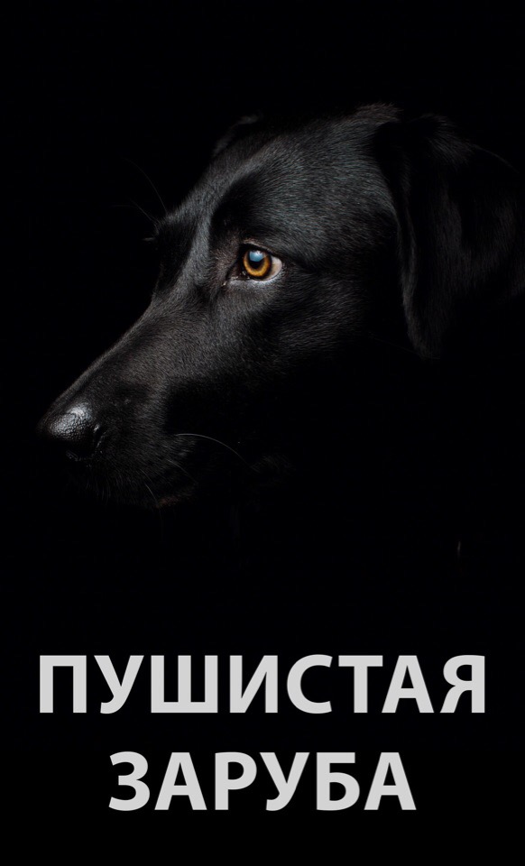 Афиша Москва ПУШИСТЫЙ МАРАФОН