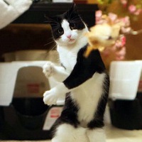 Женя Чертов |