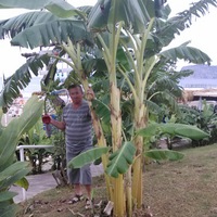 Василий Соловьев