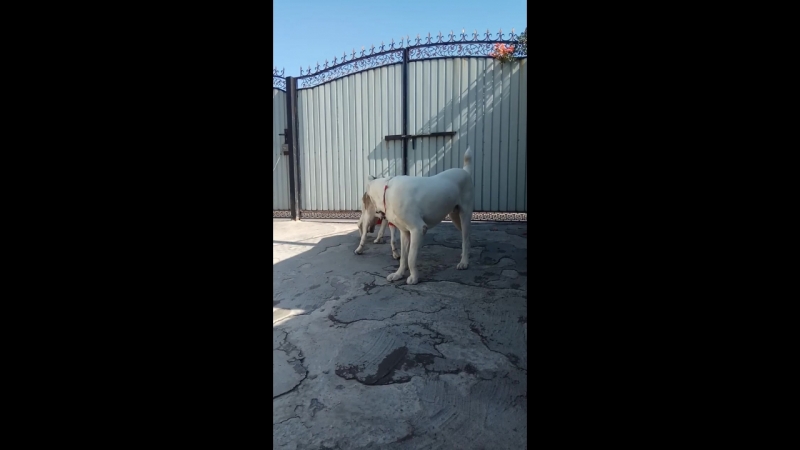 август 2018.Хайфа и Гроня