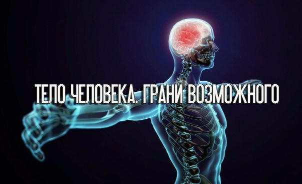 Тело человека. Грани возможного. 
