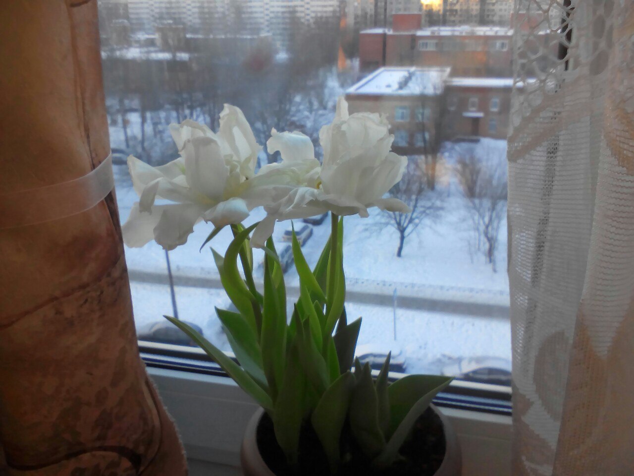 Кафе  "У пани Сони"