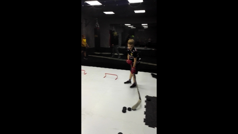 Бросковая зона в LarionovHockeyGym