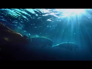 Above Beyond - Sun In Your Eyes (chillout video) (Group Therapy album)