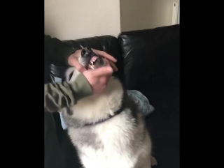 Когда не хочешь принимать таблетку