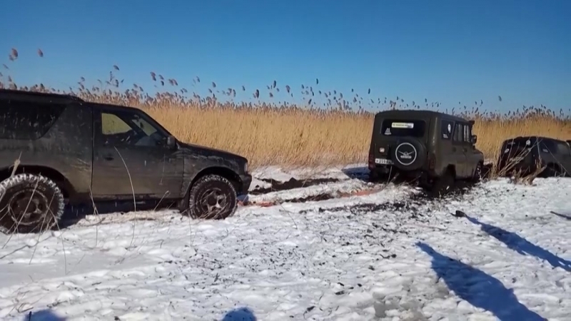 Паджик