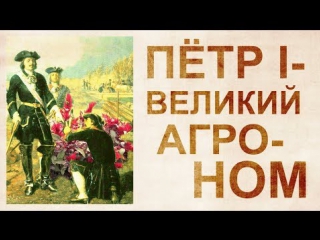 Видео: Амарант – пища богов. И что еще запретил Петр-1 на Руси Видео: Амарант – пища богов. И что еще запретил Петр-1 на Руси