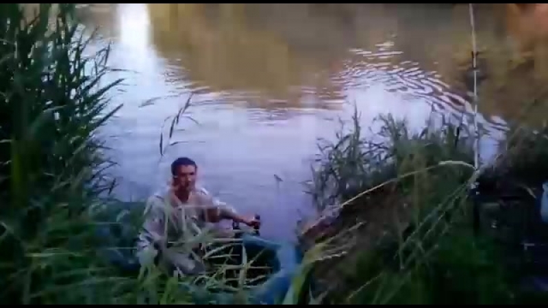 р.Дёма