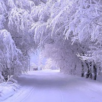 Ольга Курманова | 