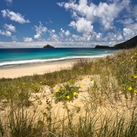 Евгений Катышев | 