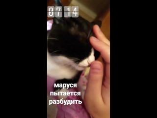 VID_103571103_053210_444.mp4
