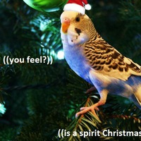 Артур Кодочигов