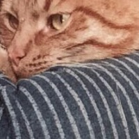 Анастасия Горшкова | Пушкин