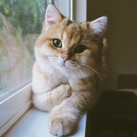 Юлия Квасова | Москва