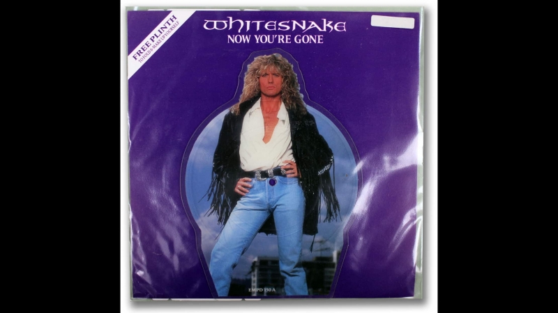 Whitesnake - Now Youre Gone(1989)