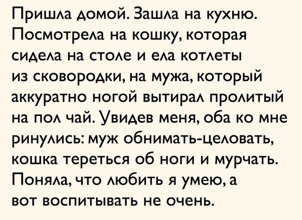 Кошки в нашей жизни. Кошки и все, что с ними связано.