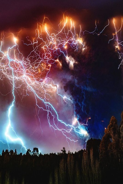 Буйство природы 