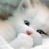 Галина Григорьева | Чита