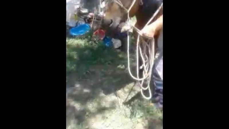 Муканай атқа отырды