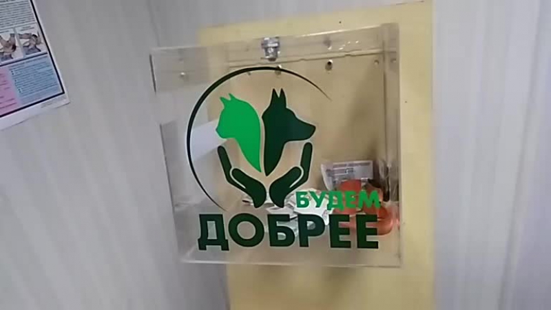 AutoMoto-OZ™ г.Орехо... - Live