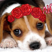 Алина Зинченко |