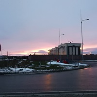 Саша Дронская