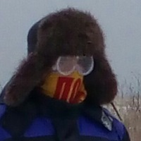 Андрей Навалихин