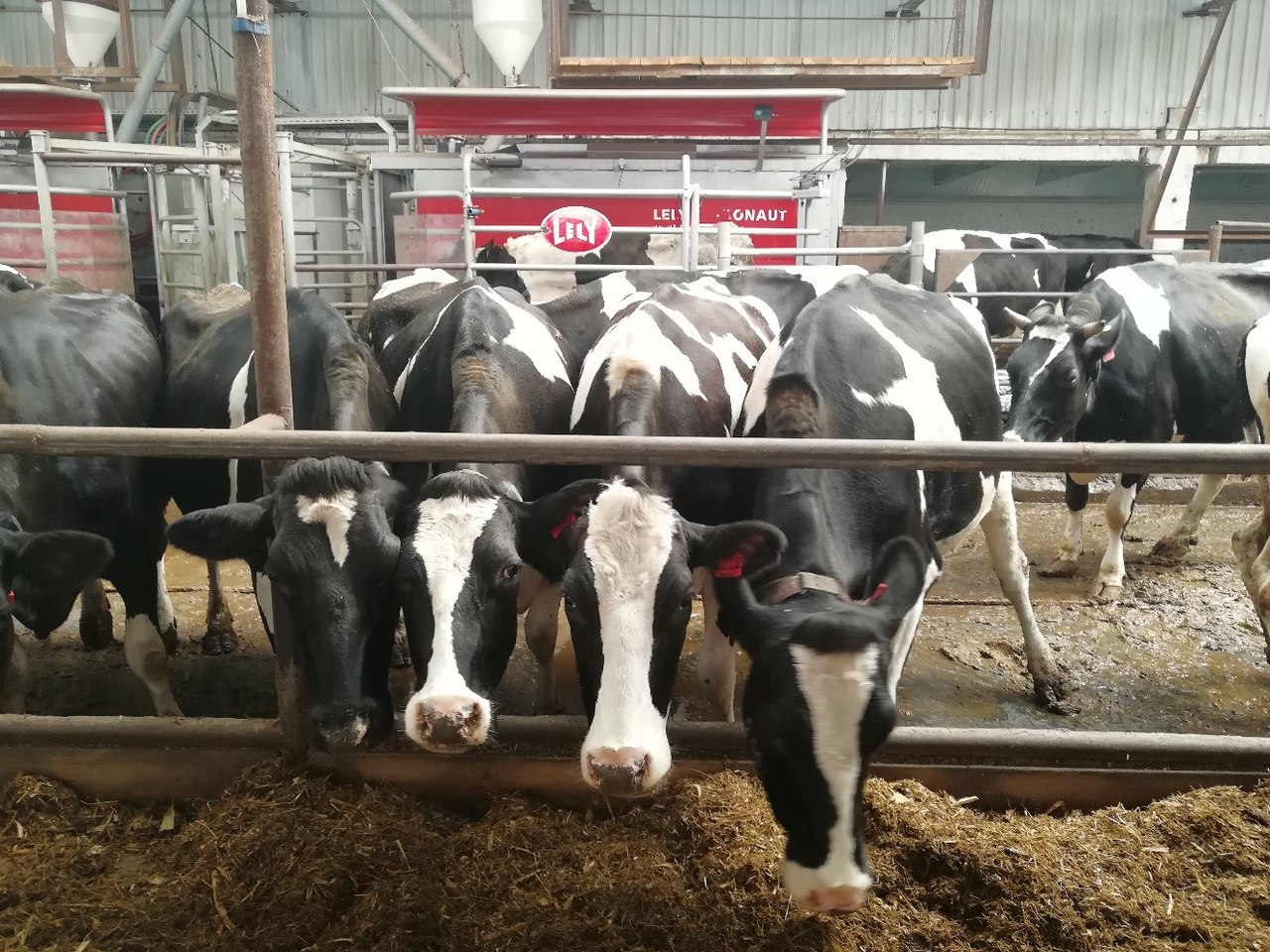 Спк глинский. Спк глинский свердловская область. Спк глинский свердловская область. Спк глинский фото. Спк глинский свердловская область.
