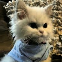 Катя Рыжова | 
