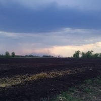 Артур Королев | Москва