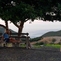 Маша Галимбовская