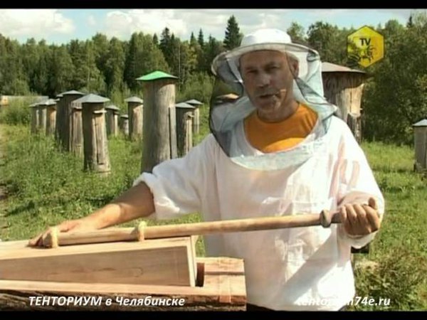 Медовые метаморфозы