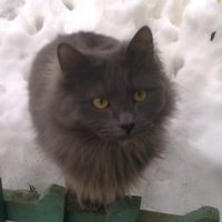 Марина Шитова | Дзержинск