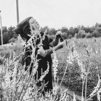 Катя Кики