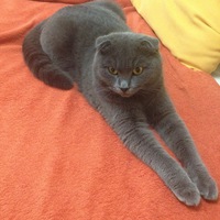 Гульнара Шевалеева