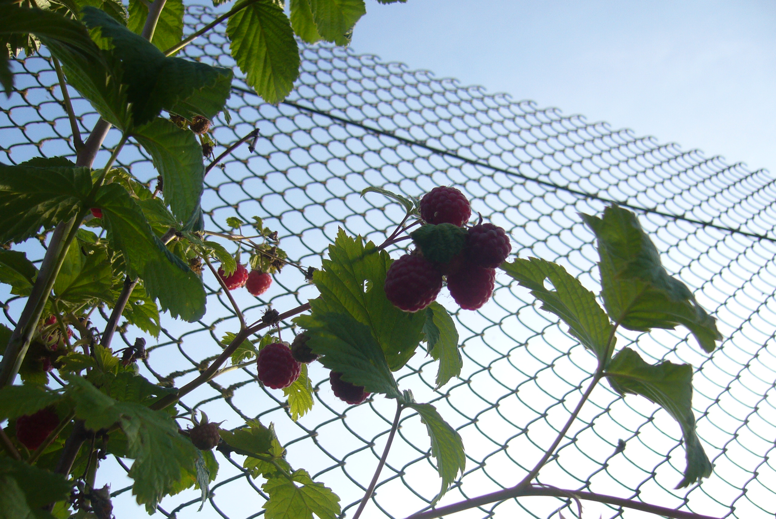 Как люди живут зимой в деревне? Как люди живут зимой в деревне? Дача