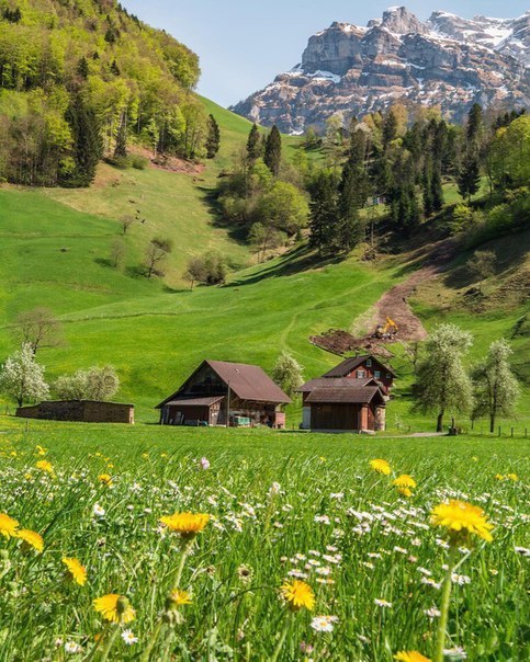 Switzerland