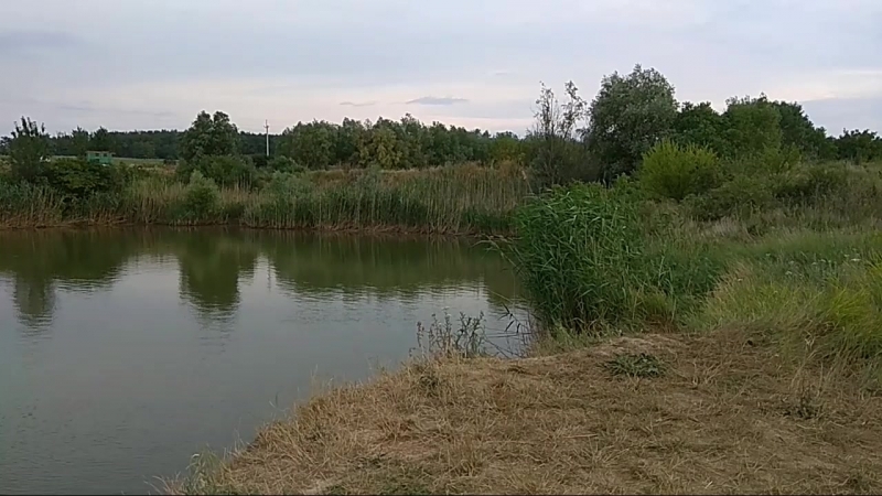 Юровка (Капиляпсин)